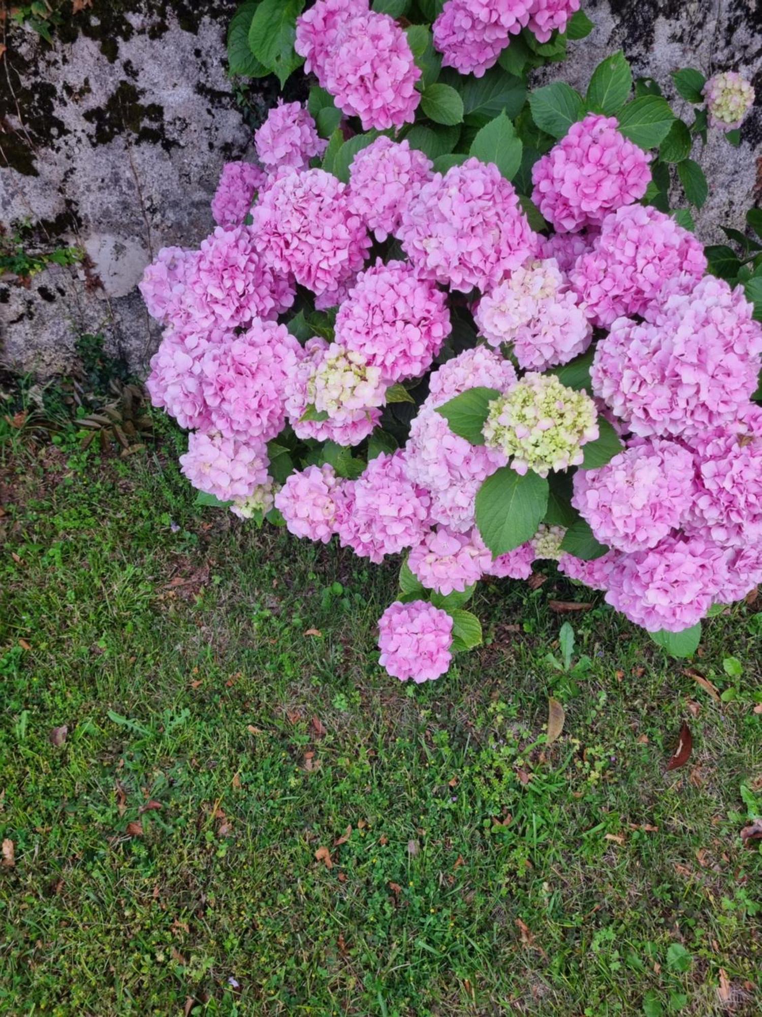 우디네 Da Artu' 빌라 외부 사진